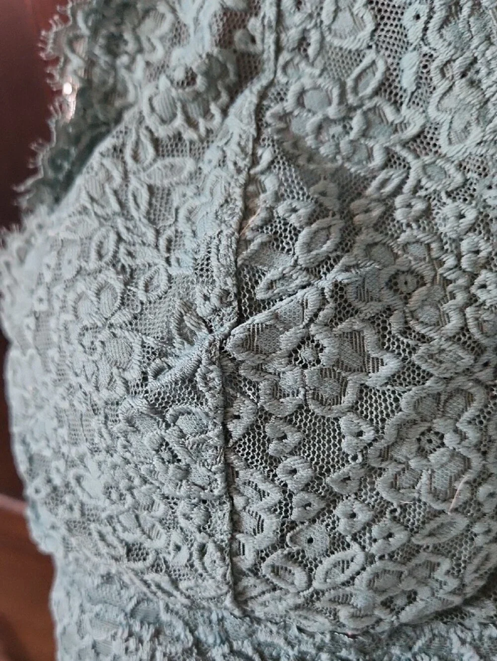 aerie Eyelash Lace Longline Bralette in Palm - Picture 5 of 12